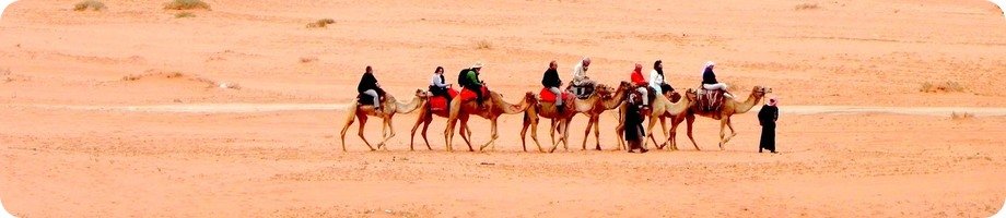 Wadi Rum Desert Tours Camels Overnight
