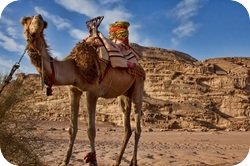 Wadi Rum Desert Tours Camel